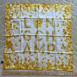 Longchamp scarf